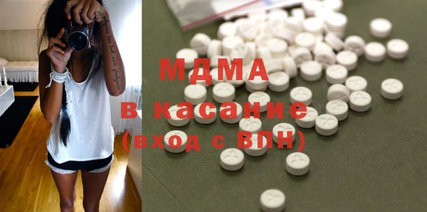 индика Алексин