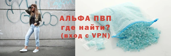 индика Алексин