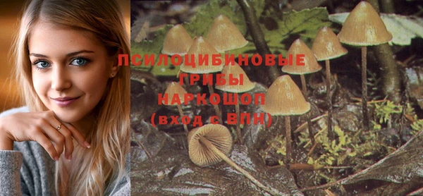 ПСИЛОЦИБИНОВЫЕ ГРИБЫ Абинск