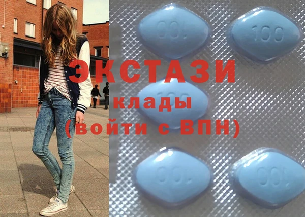 индика Алексин