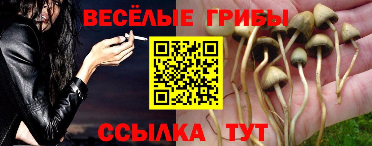 Галлюциногенные грибы Cubensis Ковров