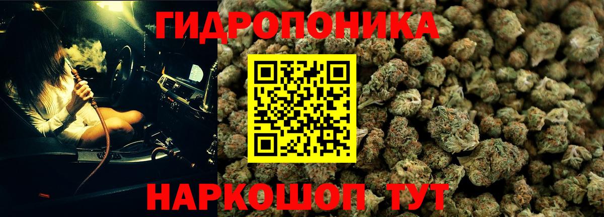 Шишки марихуана OG Kush  Бошки марихуана White Widow  Вход с VPN  Ковров  МАРИХУАНА SATIVA & INDICA 